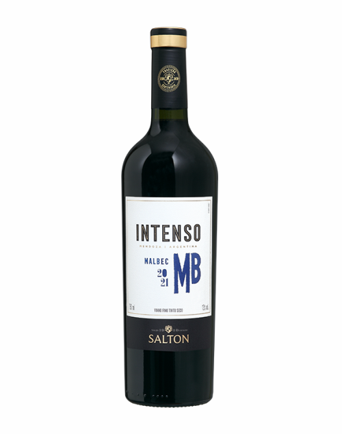 Vinho Salton Intenso Malbec 750 ML